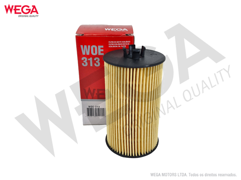 WOE-313 WG-WOE313 - Image 1